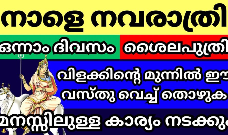 നാളെ നവരാത്രി ആദ്യദിവസം ചെയ്യേണ്ടത്