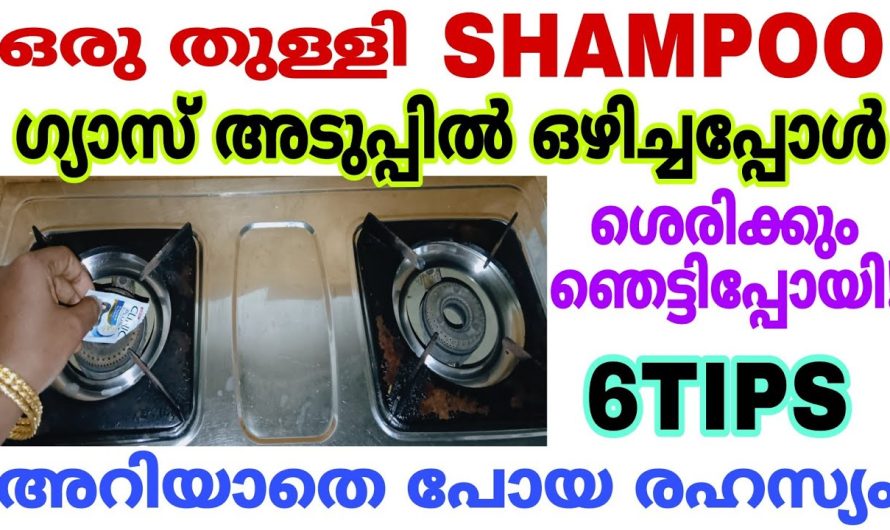 ഇനി എന്തുണ്ടായിട്ടും കാര്യമില്ല ഇത് മാത്രം മതി