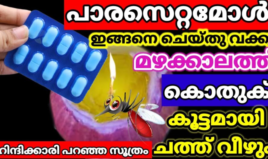 നിങ്ങൾ എപ്പോഴെങ്കിലും ഇങ്ങനെ ചെയ്തു നോക്കിയിട്ടുണ്ടോ