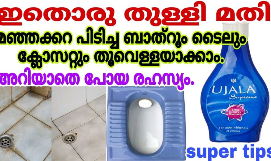 ഒറ്റത്തുള്ളി കൊണ്ട് എന്ത് കറയും അദൃശ്യമാകും