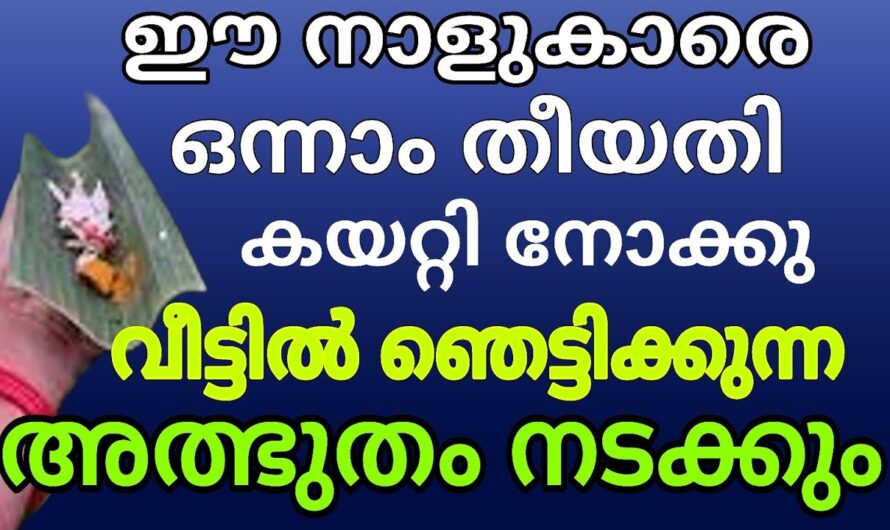 ഇവർ വന്നാൽ വീടും രക്ഷപ്പെടും നിങ്ങളും രക്ഷപ്പെടും