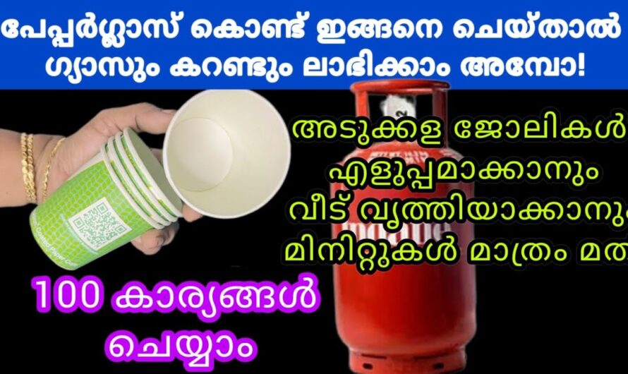 വെറും പേപ്പർ ഗ്ലാസ് കൊണ്ടാണ് ഇതൊക്കെ സംഭവിക്കുന്നത്