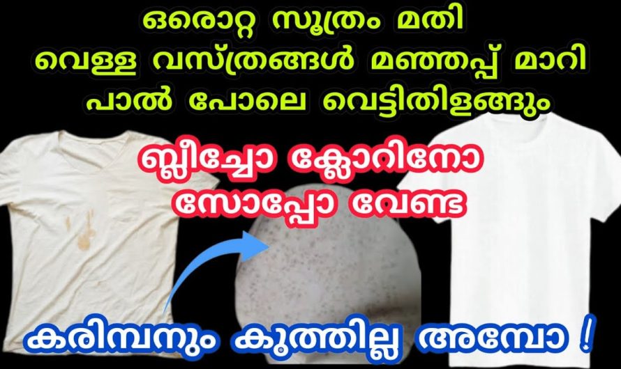 എത്ര കരിഞ്ഞ തുണിയും ഇതു ചെയ്താൽ ഇനി വെട്ടി തിളങ്ങും