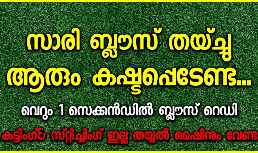 ഇനി സമയം കളയണ്ട കാശും കളയേണ്ട തൈക്കും വേണ്ട പക്ഷെ ബ്ലൗസ് ഇടാം