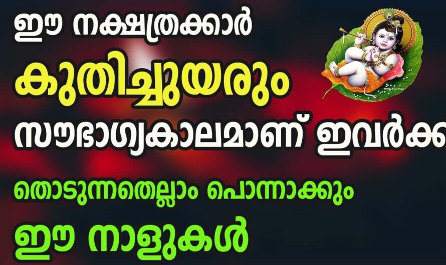 കുതിച്ചുയരും ഇനി ഈ ഭാഗ്യ നക്ഷത്രങ്ങൾ