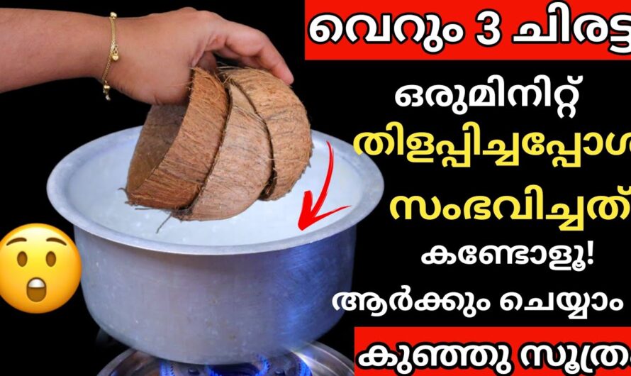 ചിരട്ട ഇനി വെറുതെ തിളപ്പിച്ചാൽ പോരാ