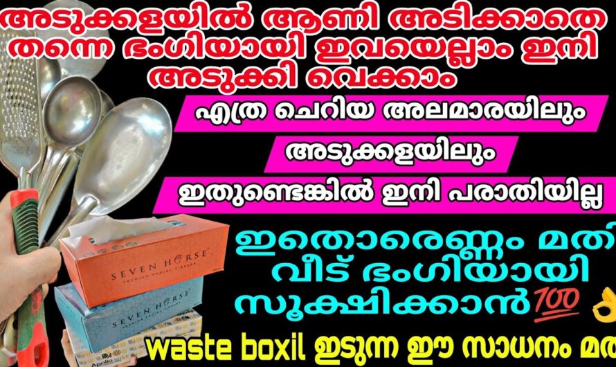 ഈ സാധനങ്ങൾ വെറുതെ കളയല്ലേ ഒരു കിടിലൻ ഐഡിയ ഉണ്ട്