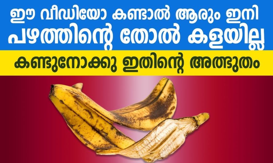 അങ്ങനെ പഴത്തൊലിയുടെ കാര്യത്തിലും ഒരു തീരുമാനമായി