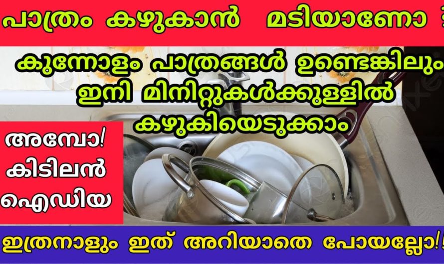 ഇനി കുന്നോളം പാത്രം ഉണ്ടെങ്കിലും കാര്യം എളുപ്പമാണ്