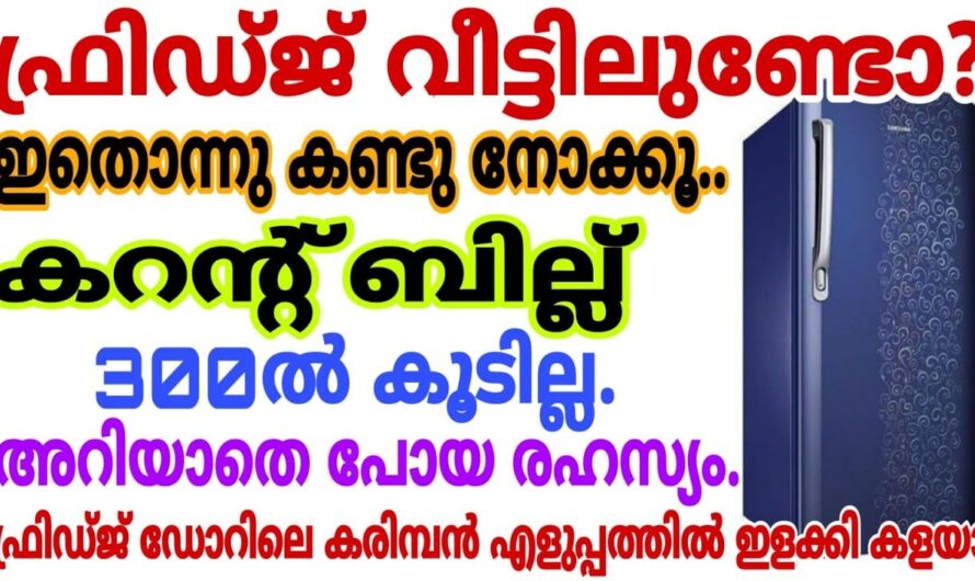 ഇങ്ങനെ ഒരിക്കലെങ്കിലും ചെയ്തു നോക്കാത്തവരുണ്ടോ