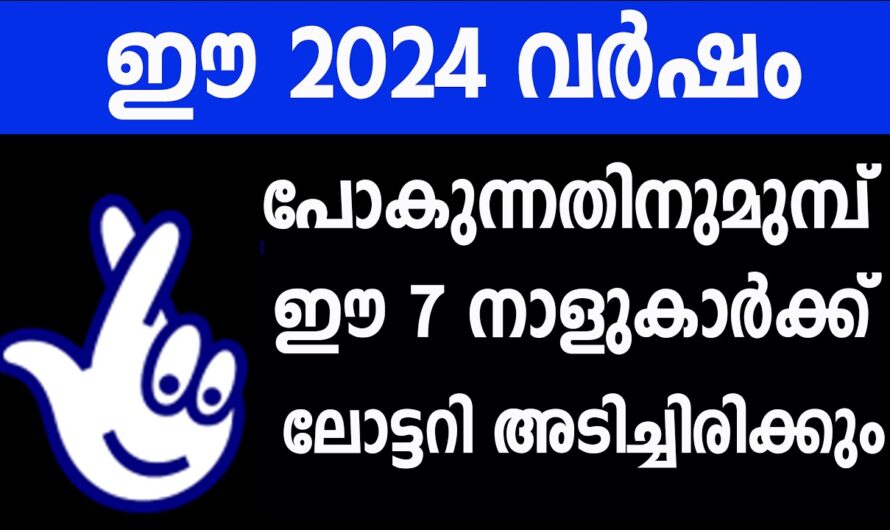 എന്തൊക്കെ പറഞ്ഞാലും ഈ 2024 ഇവർക്ക് സ്വന്തം