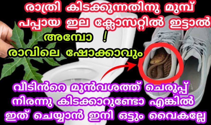 സംഭവം വെറും ഇല പക്ഷേ ഇതിന്റെ ഫലം അറിഞ്ഞാലോ