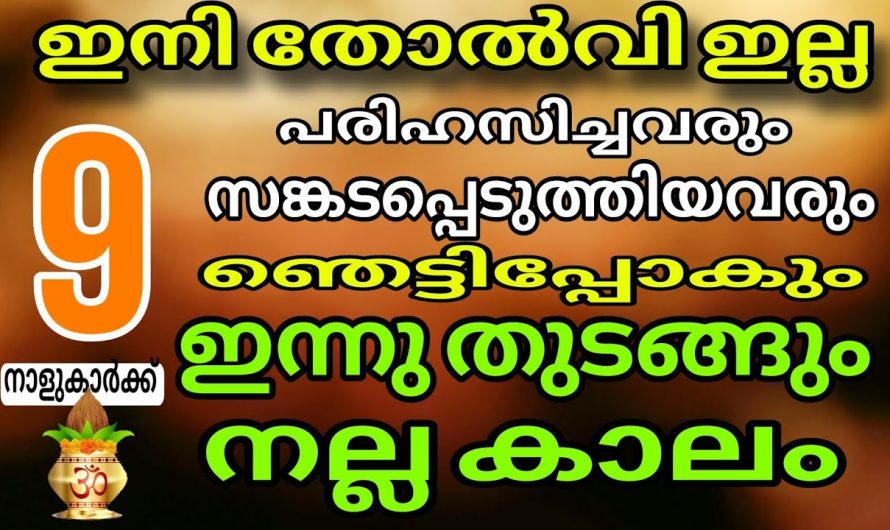 ഒന്നും വെറുതെയല്ല ഇങ്ങനെ ഒട്ടും സമയം കളയേണ്ട