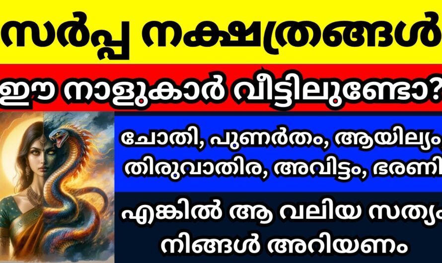 വീട്ടിൽ ഇവർ ഉണ്ടോ എങ്കിൽ കാര്യം കുറച്ചുകൂടി എളുപ്പമാണ്