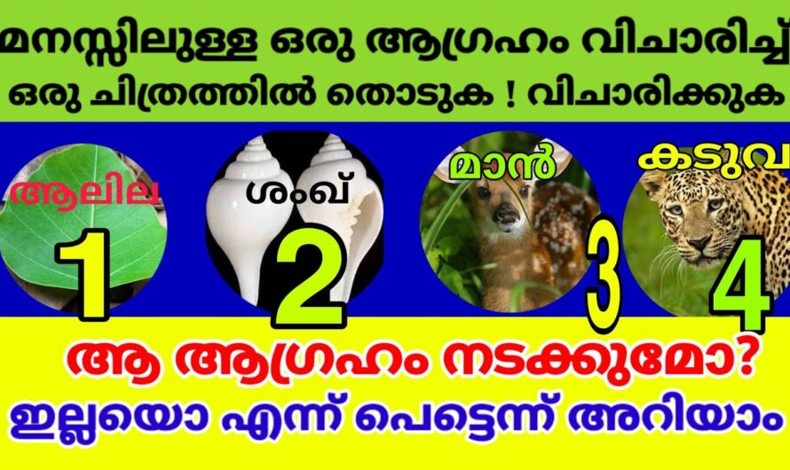 നിങ്ങൾ തിരഞ്ഞെടുത്ത ഈ ചിത്രം പറയും നിങ്ങളുടെ ജീവിതത്തിൽ ഇനി എന്ത് സംഭവിക്കുമെന്ന്