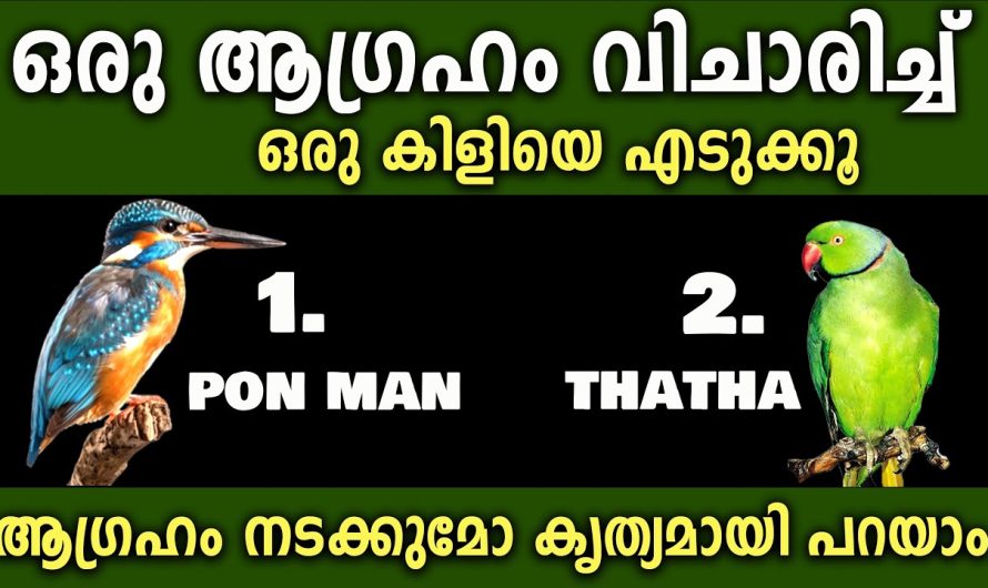 ഇനിയെന്തിന് വൈകണം മനസ്സിൽ ഒന്നും കരുതിയാ പോരെ