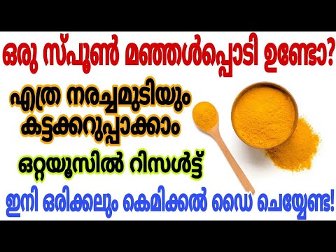 മുടി കട്ട കറുപ്പാക്കാൻ വീട്ടിൽ തന്നെ തയ്യാറാക്കാവുന്ന ഒരു കിടിലൻ ഡൈ