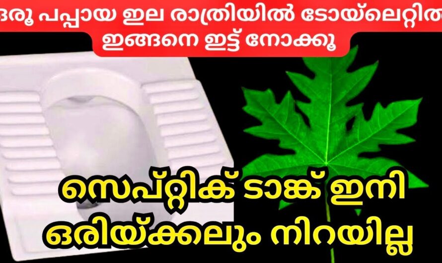 ഇനി വീട് ക്ലീൻ ചെയ്യാൻ ഒരു രൂപ മുടക്കേണ്ട! ഒരു കിടിലൻ സൊല്യൂഷൻ