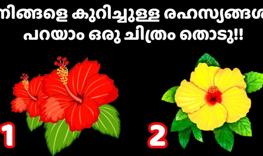 നിങ്ങളെ പറ്റിയുള്ള ചില രഹസ്യങ്ങൾ, ഇതിൽ ഒരു പൂ തിരഞ്ഞെടുക്കൂ…