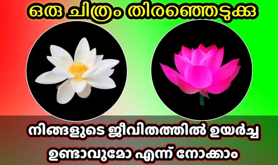 നിങ്ങളുടെ ജീവിതത്തിൽ സംഭവിക്കാൻ പോകുന്നത് എന്ത്? ഇവയിൽ ഒരെണ്ണം തിരഞ്ഞെടുക്കൂ…