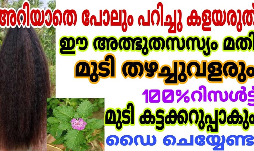 എത്ര മുരടിച്ചു മുടിയും കാടുപിടിച്ച് വളരും, ഒരു കിടിലൻ ഡൈ