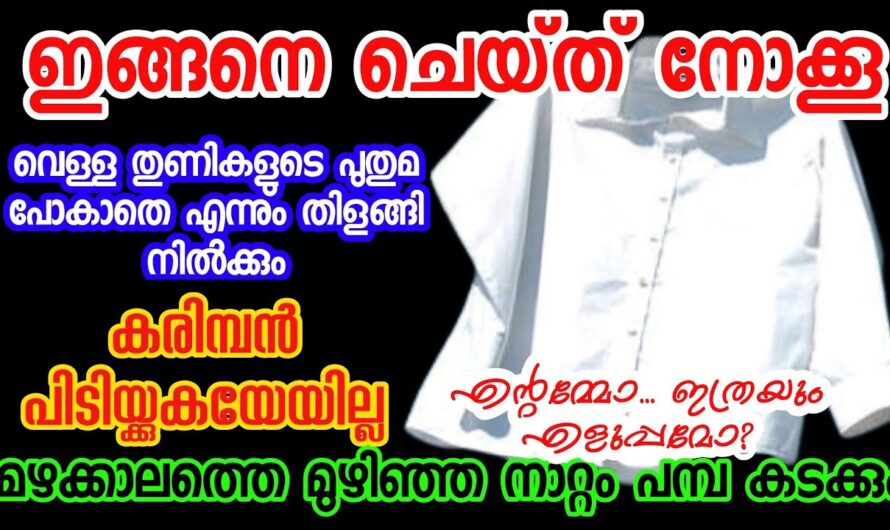 വെള്ളത്തുണികൾ പുതിയത് പോലെ തിളങ്ങും, മഴക്കാലത്ത് പോലും കരിമ്പന പിടിക്കില്ല!!!