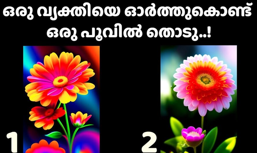 നിങ്ങൾക്ക് ഇഷ്ടപ്പെട്ട വ്യക്തി നിങ്ങളെ പറ്റി എന്ത് ചിന്തിക്കുന്നു! ഒരെണ്ണം തൊടൂ…