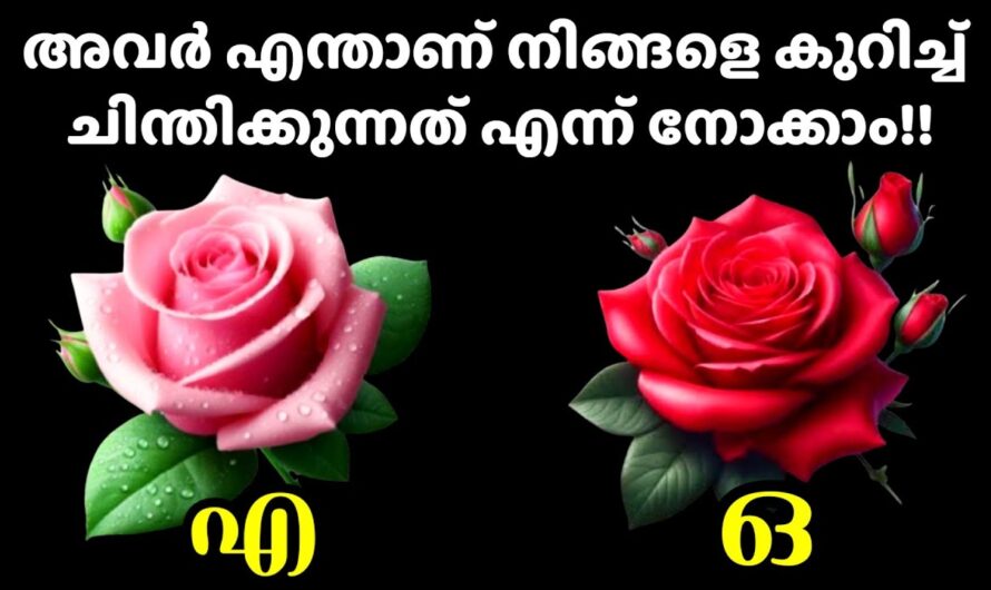 നിങ്ങളുടെ പ്രിയപ്പെട്ട വ്യക്തി നിങ്ങളെപ്പറ്റി എന്തു ചിന്തിക്കുന്നു, ഇതിൽ ഒന്ന് തൊടൂ…