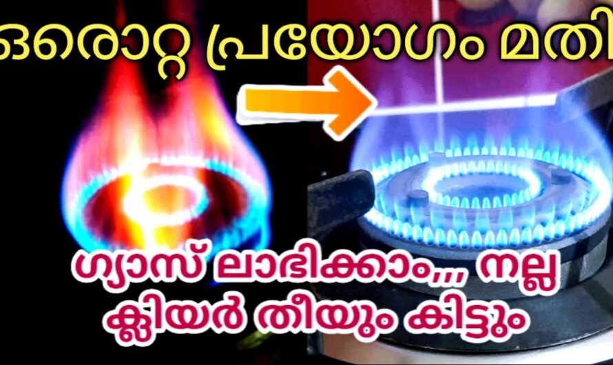 വീട്ടമ്മമാർ ഉറപ്പായും ഇത് അറിഞ്ഞിരിക്കണം, ഗ്യാസ് സ്റ്റൗ കത്തിക്കുമ്പോൾ ഒരിക്കലും ഈ തെറ്റ് ചെയ്യരുത്….