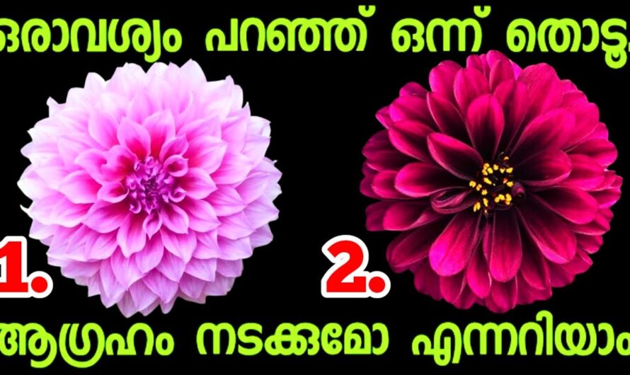 നിങ്ങൾക്ക് ഒരു ആഗ്രഹമുണ്ട്, അത് നടക്കുമോ ഇല്ലയോ എന്ന് ഇതിലൂടെ മനസ്സിലാക്കാം…