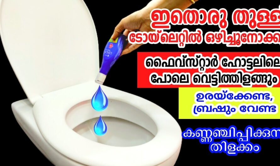 ഒരു കുപ്പി ഉജാല ഉണ്ടെങ്കിൽ വീട് പുതുപുത്തൻ ആക്കി മാറ്റാം, ഒരു കിടിലൻ ലിക്വിഡ്….