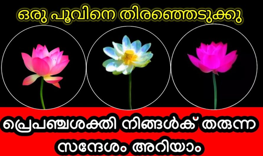 നിങ്ങളോട് പ്രപഞ്ചം പറയാൻ ആഗ്രഹിക്കുന്ന ഒരു രഹസ്യം, ഇതിൽ നിന്നും ഒരെണ്ണം തിരഞ്ഞെടുക്കു…