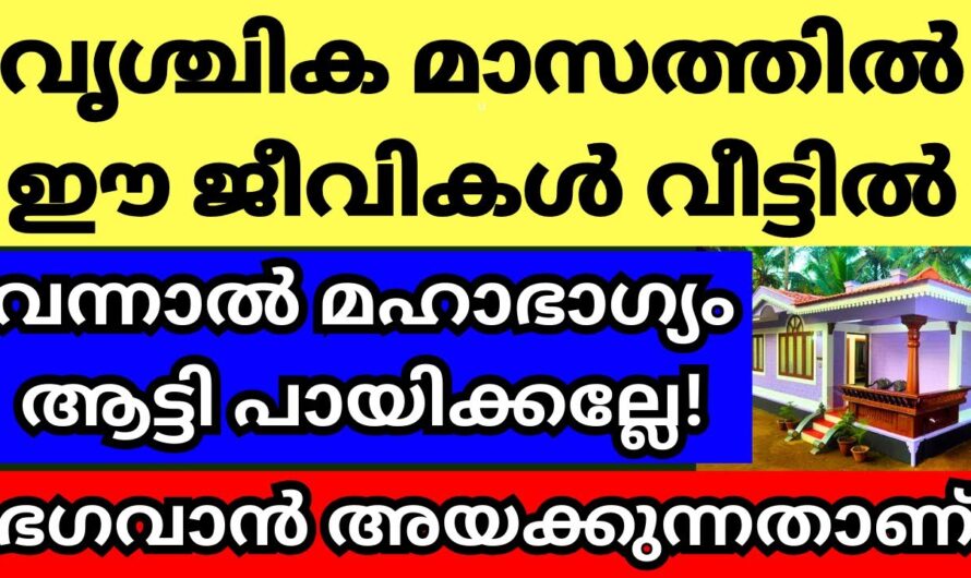 വൃശ്ചിക മാസത്തിൽ നിങ്ങളുടെ വീട്ടിലേക്ക് എത്തുന്ന ഈ വിരുന്നുകാർ സമ്പത്ത് കൊണ്ടുവരുന്നു…