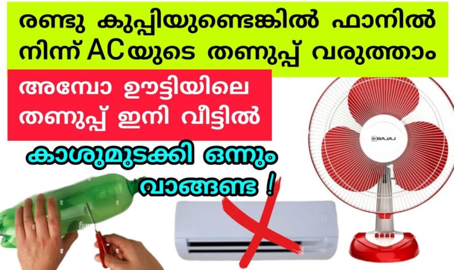 ഒരു ഫാൻ ഉണ്ടെങ്കിൽ എസി റെഡി…! വീട് മുഴുവനും തണുപ്പാകും…