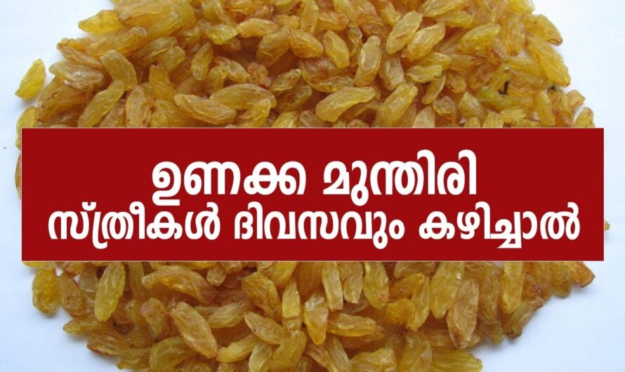 ദിവസവും ഉണക്കമുന്തിരി കഴിച്ചാൽ ശരീരത്തിൽ ഉണ്ടാകുന്ന അത്ഭുത മാറ്റങ്ങൾ…