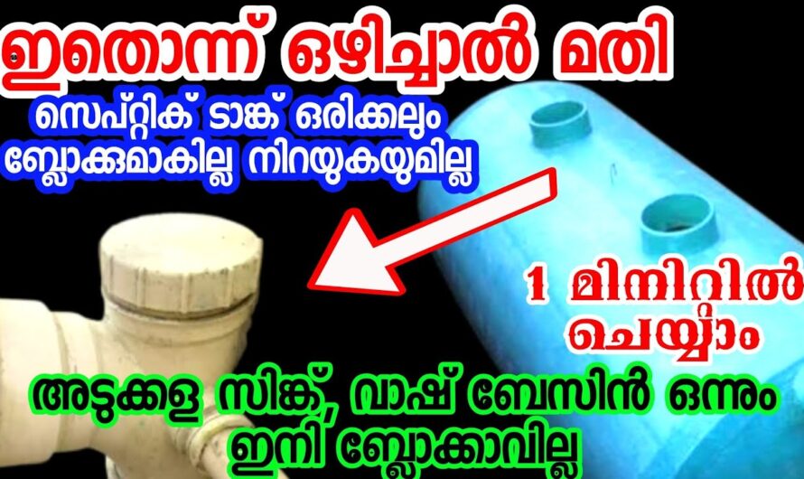 സെപ്റ്റിക് ടാങ്ക് നിറയാതിരിക്കുവാൻ പൈപ്പിലൂടെ ഇത് ഒഴിച്ചാൽ മതി, 100% റിസൾട്ട്…