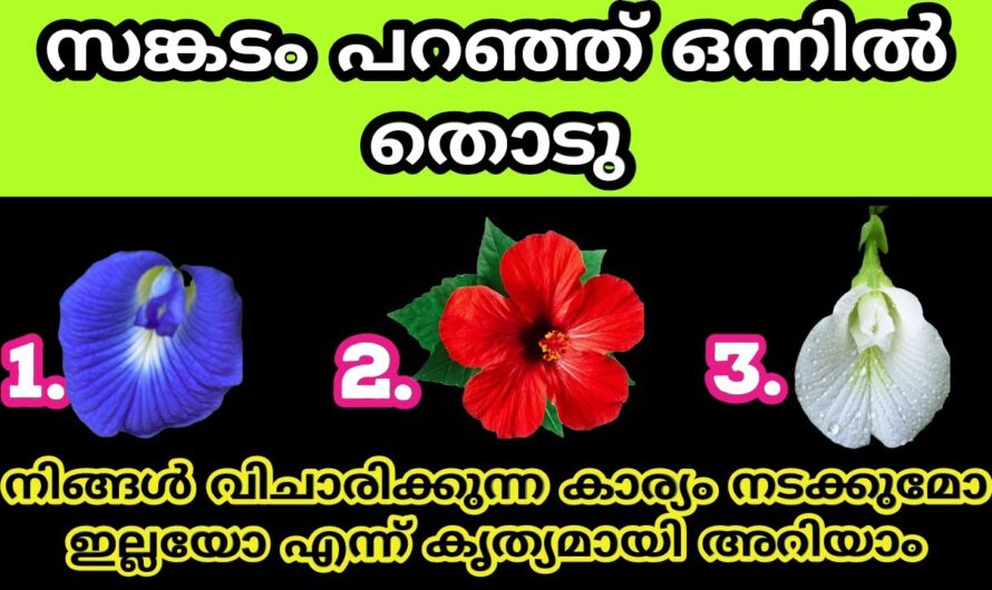 ഈ മൂന്നു പുഷ്പങ്ങളിൽ നിന്ന് ഒരെണ്ണം തിരഞ്ഞെടുക്കു, നിങ്ങളുടെ കഴിവു മനസ്സിലാക്കാം….