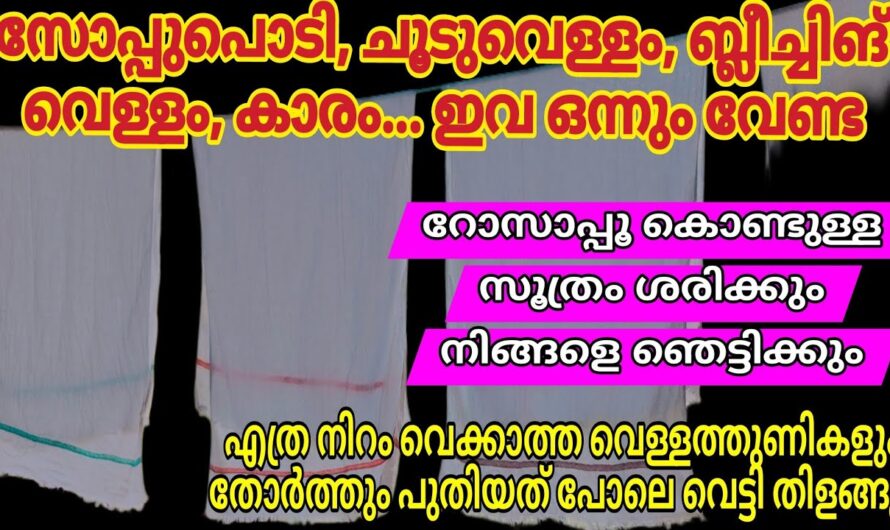 റോസ് വാട്ടർ വീട്ടിൽ തയ്യാറാക്കാം, ആരും പറഞ്ഞു തരാത്ത കിടിലൻ ഐഡിയകൾ…