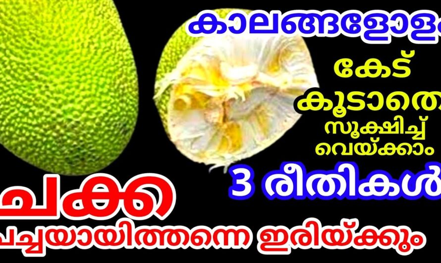 മാസങ്ങളോളം ചക്ക കേടുകൂടാതെ സൂക്ഷിക്കാം, ഇങ്ങനെ ചെയ്താൽ മതി…