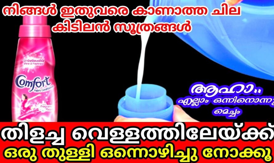 വീട് മുഴുവനും സുഗന്ധം പരത്തും കംഫർട്ട്! ആരും പറഞ്ഞു തരാത്ത ഒരു അടിപൊളി ടെക്നിക്ക്