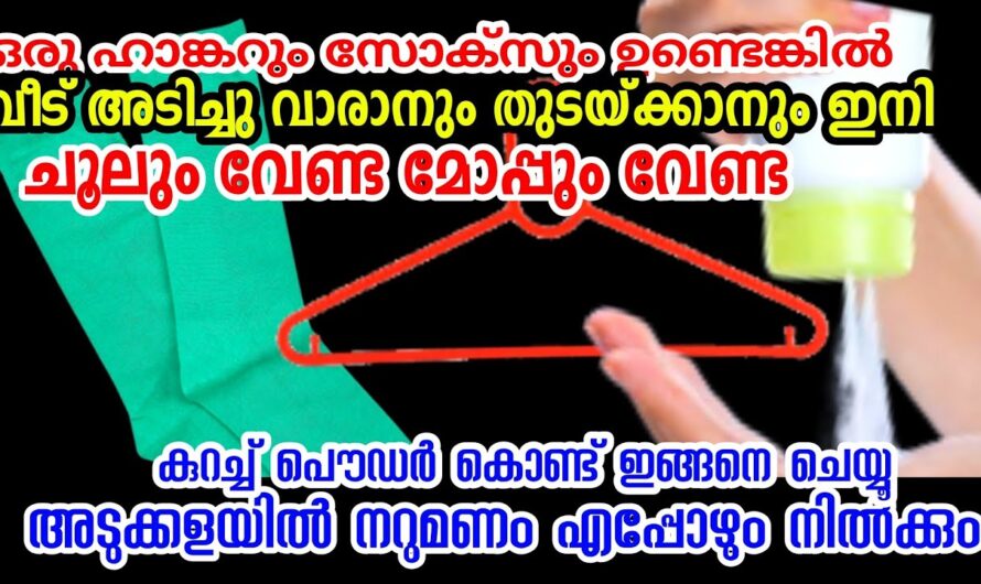 വീട്ടിൽ ഈ മൂന്ന് സാധനങ്ങൾ ഉണ്ടെങ്കിൽ, ഒരു അടിപൊളി സൊലൂഷൻ തയ്യാറാക്കാം…