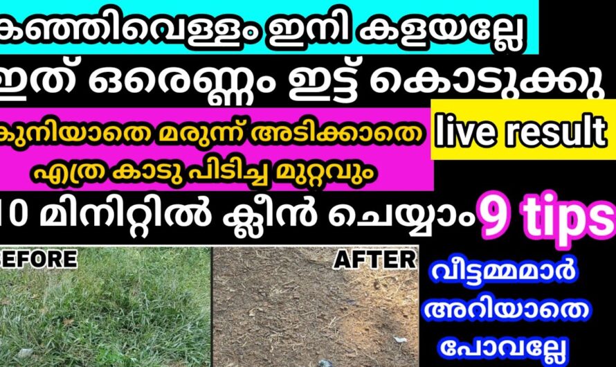 കഞ്ഞി വെള്ളത്തിൻറെ ഈ ഉപയോഗങ്ങൾ അറിഞ്ഞാൽ ആരുംതന്നെ ഞെട്ടിപ്പോകും