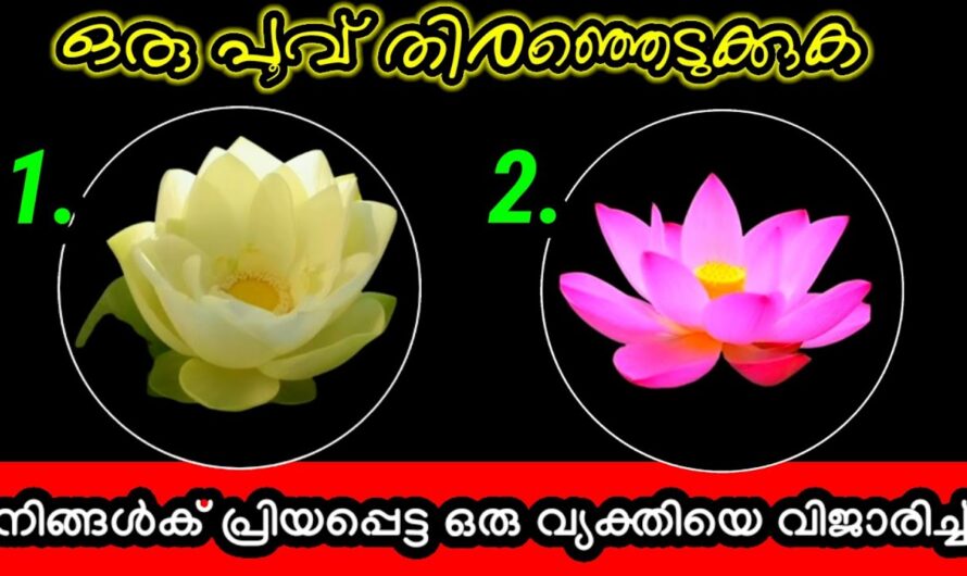 മനസ്സ് പറയുന്ന ഒരു പൂവ് തിരഞ്ഞെടുക്കൂ..! ഇഷ്ടപ്പെട്ട വ്യക്തിയെ കുറിച്ച് അറിയാം…