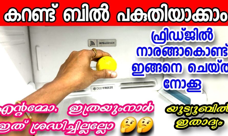 നിങ്ങൾ ഇതുവരെയും ഇതൊന്നും അറിഞ്ഞില്ലേ, കരണ്ട് ബില്ല് ഒരിക്കലും കൂടില്ല