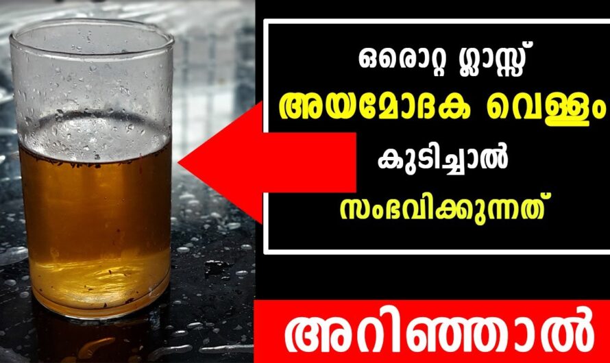 പല രോഗങ്ങൾക്കും ഇനി ഡോക്ടർ വേണ്ട, അയമോദകത്തിന്റെ രഹസ്യങ്ങൾ…