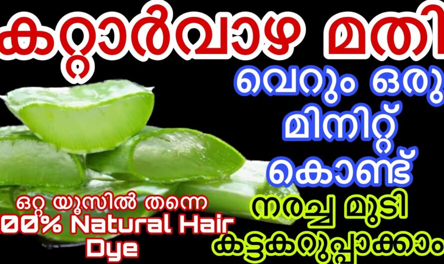 നരച്ച മുടി കട്ട കറുപ്പ് ആകും, നാച്ചുറൽ ആയ ഒരു കിടിലൻ ആയി