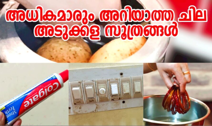 ആരും പറഞ്ഞു തരാത്ത കിടിലൻ അടുക്കള ടിപ്പുകൾ ഉറപ്പായും ഞെട്ടിപ്പോകും…