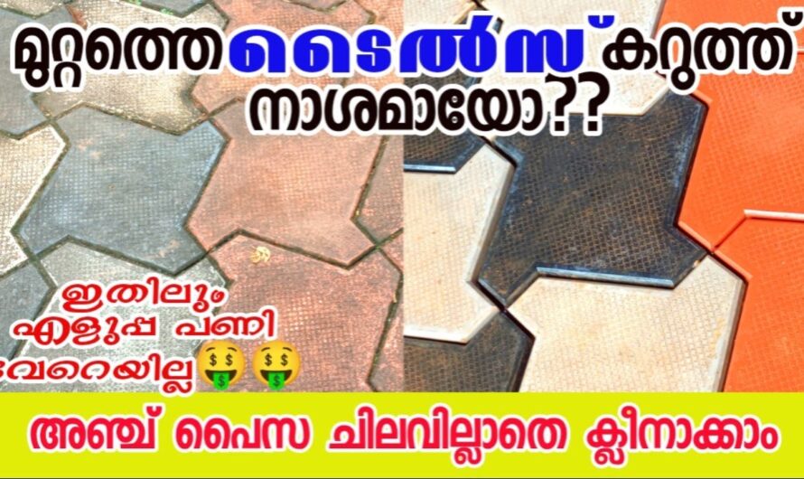 മുറ്റത്തെ ഇൻറർലോക്ക് കണ്ണാടി പോലെ വെട്ടി തിളങ്ങും, ഉരച്ച് ബുദ്ധിമുട്ടേണ്ട..