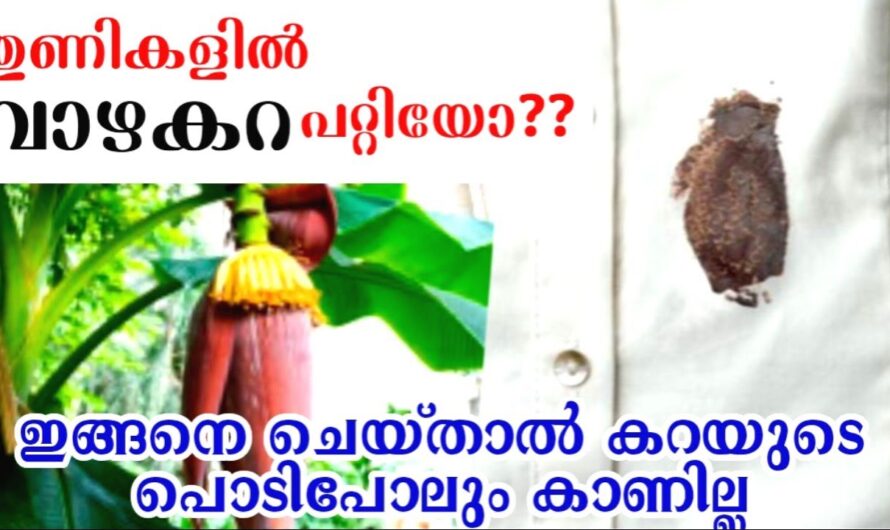 വാഴക്കറ എളുപ്പത്തിൽ ഇളക്കാം, ഇതിൽ അല്പം നേരം മുക്കി വെച്ചാൽ മതി