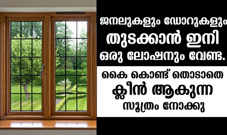 പൊടിപിടിച്ച വീട് നിമിഷങ്ങൾക്കുള്ളിൽ ക്ലീൻ ചെയ്യാം, ഈ സൂത്രം ട്രൈ ചെയ്യൂ…